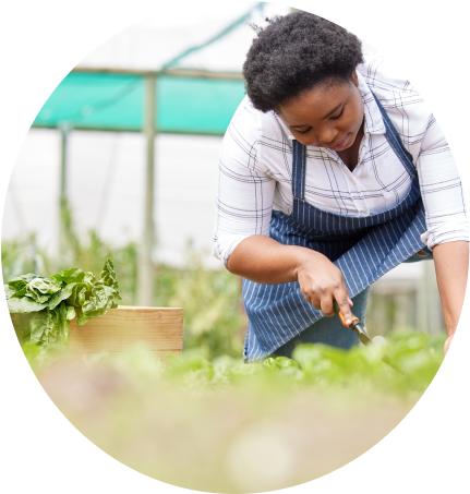 Circular Food Systems for Rwanda is a partnership between several national, regional and global organizations.