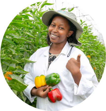 Circular Food Systems for Rwanda is a partnership between several national, regional and global organizations.