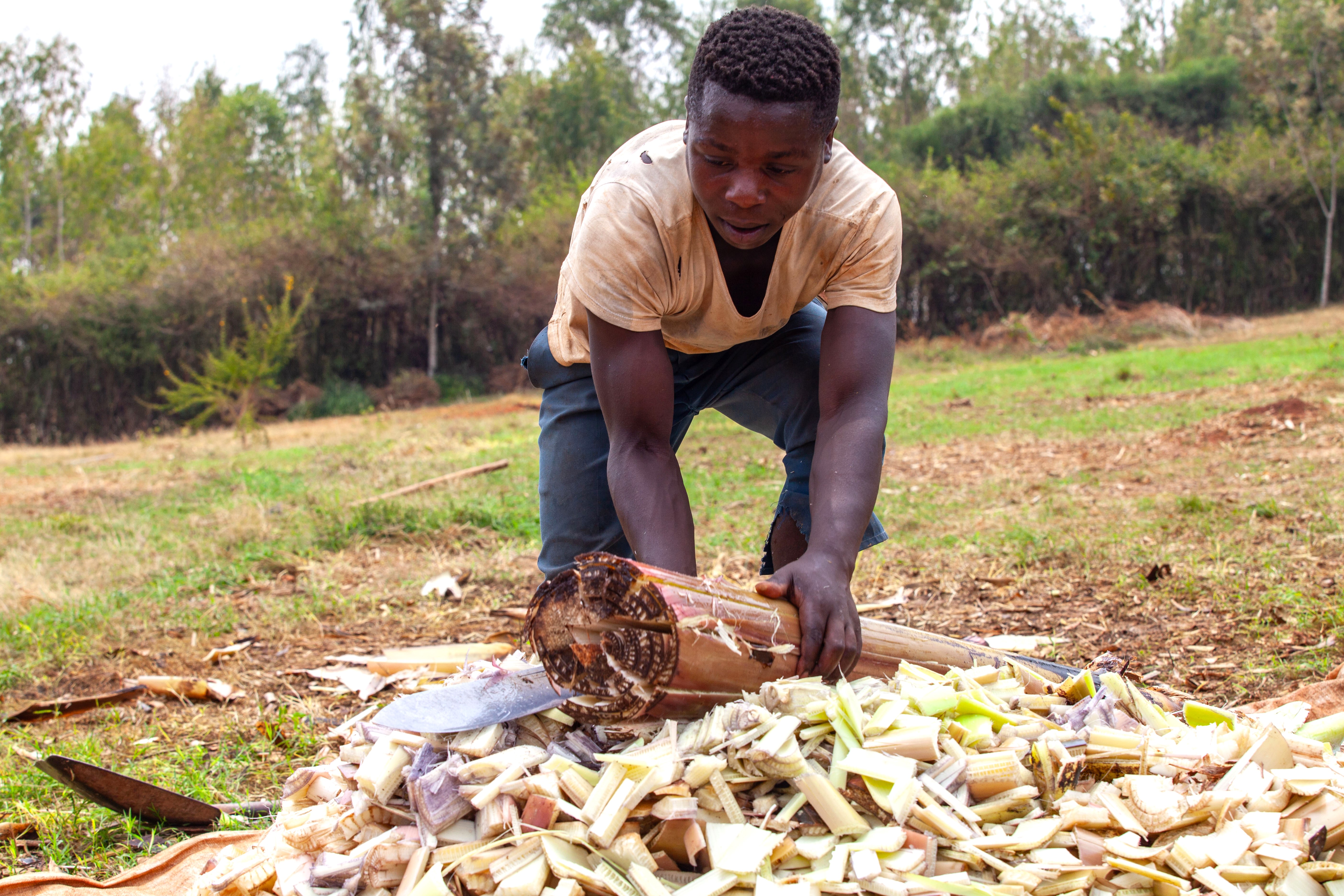 Elim Farm in Rwanda is practicing conservation agriculture techniques to support healthy yields without damaging the soil