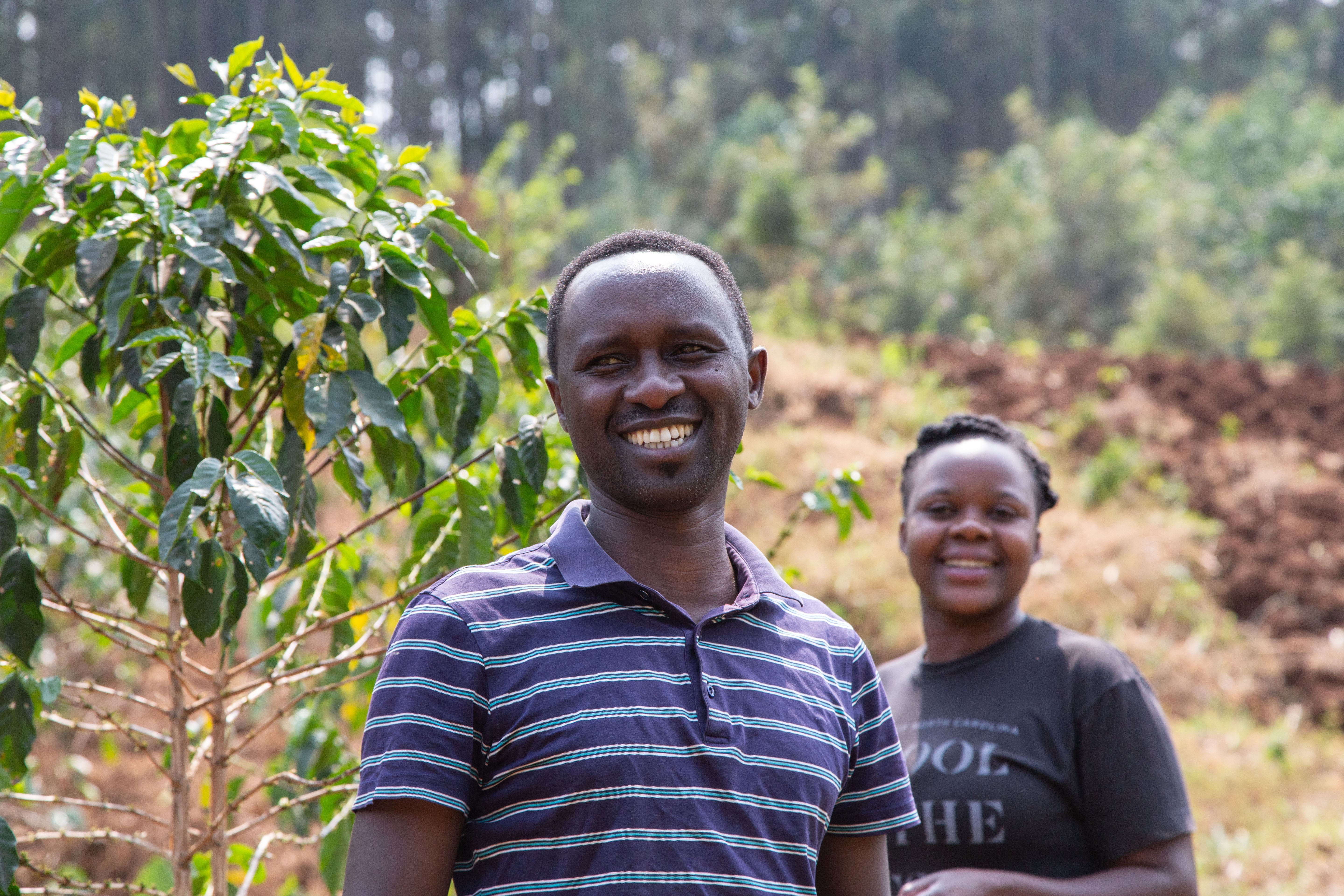 Gisuma-coffee company is keen on circularity to improve the food system in Rwanda